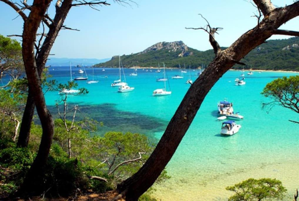 Villa Saint-come, Du Grand Luxe A 1 Min De La Hyères